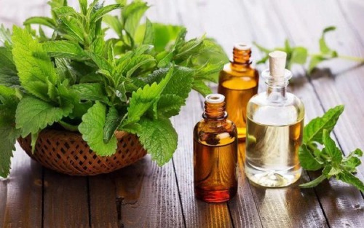 Essential Oils
