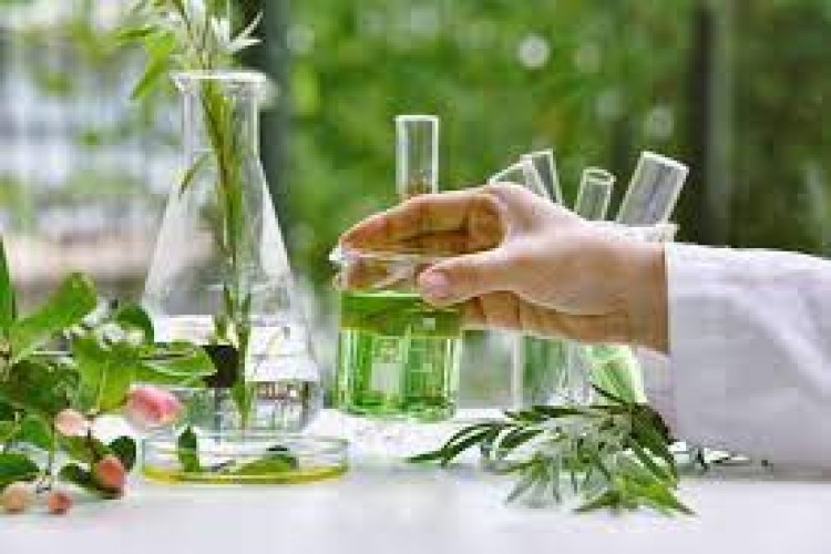 Essential Oils