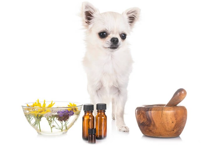 Essential Oils