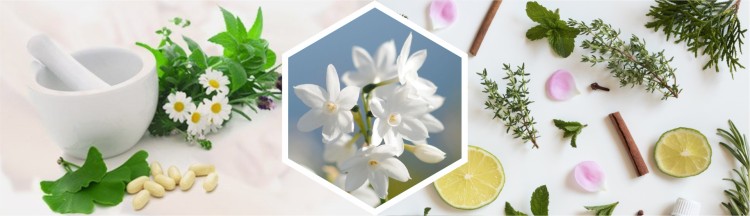 Essential Oils